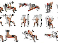 Download Essential Arm Shoulder And Chest Workout Background