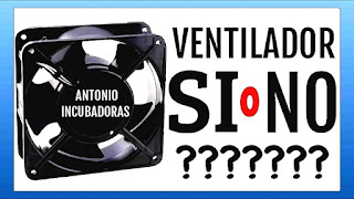 Incubadora casera sin ventilador