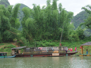 Çin'in Lijiang ilinden bir bambu türü