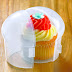 Cupcake lover's treat -individual cupcake carry case