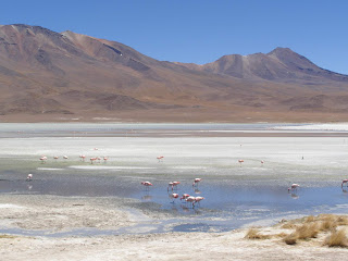 Laguna chiarkota