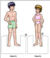 FIGURA de base