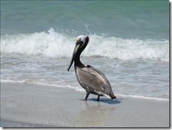 march madness2012 065 640x480