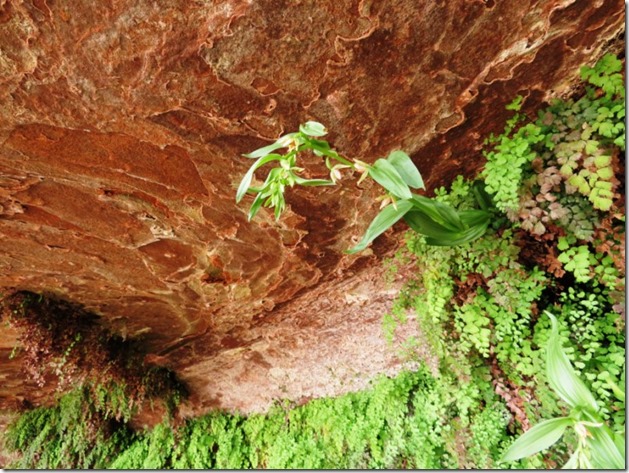 Hanging Gardens walk 14