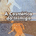 Opinião | "A Cosmética do Inimigo" - Amélie Nothomb 