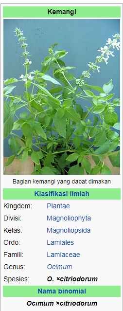 klasifikasi kemangi