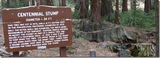 Centennial Stump, cut down Sequoia Tree, Grant Grove