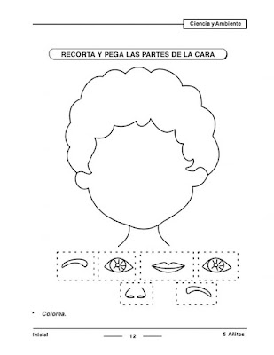 Partes de la cara para Inicial Preescolar