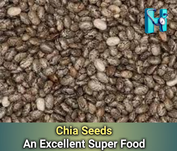 Chia Seeds: Tiny Seeds, Mighty Benefits