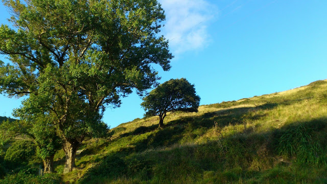 #vídeo, Arrizabalakaia, Gorliz, paisaje, 