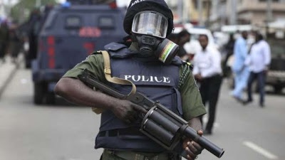 Reps approve establishment of state police in 36 states