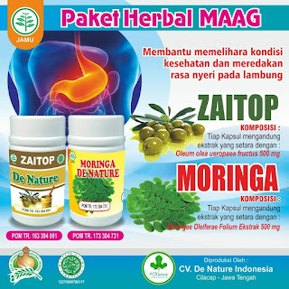 Obat Denature Obat Maag