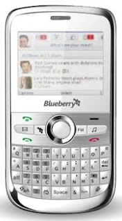 SL Blueberry 5800-9