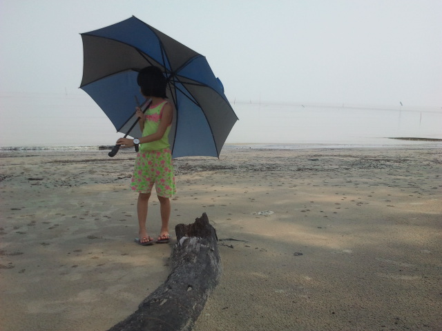 seripelangi Berkelah Di Tepi Pantai 