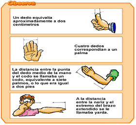 Resultado de imagen de ESQUEMA HISTORIA medidas de longitud 3Âº primaria