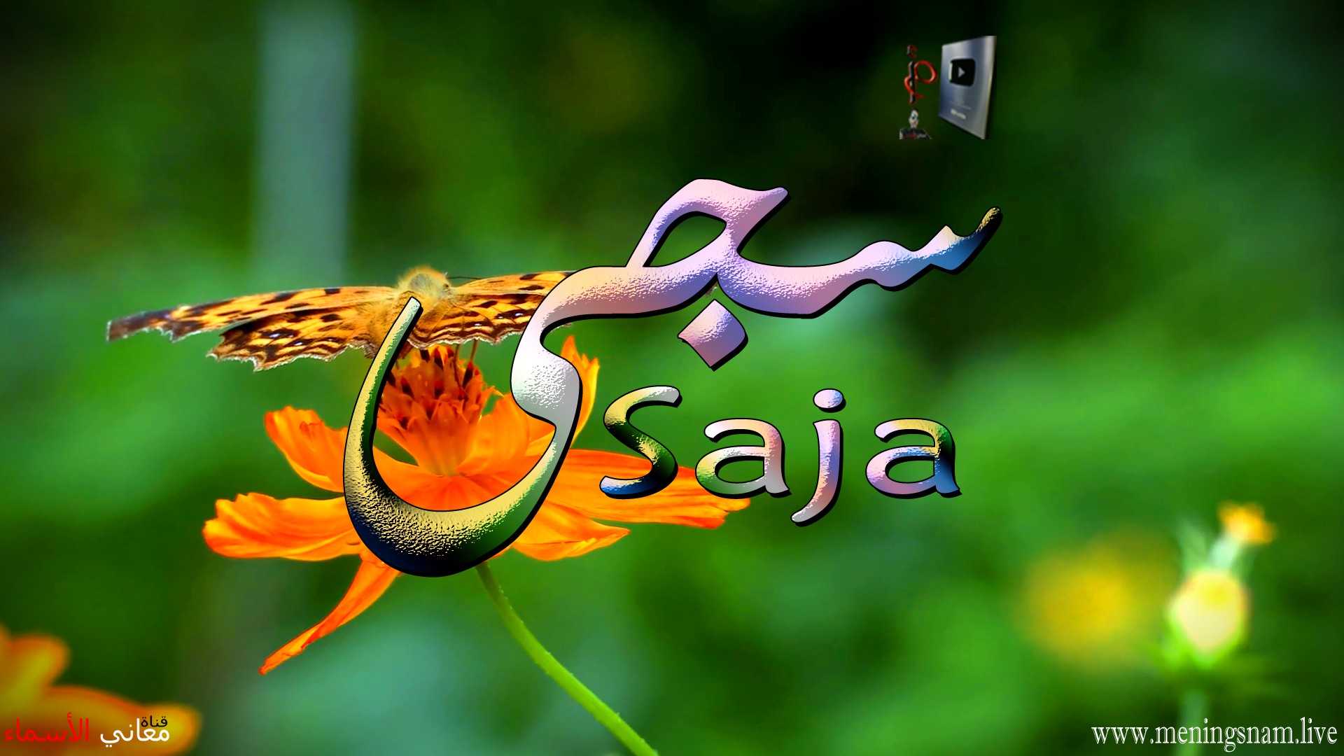 معنى اسم, سجى, وصفات, حاملة, هذا الاسم, Saja,