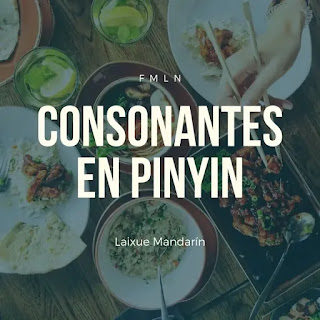 Lección #6: Consonantes en Pinyin Pt. 1