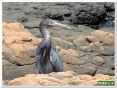 20120617_094610_050_Ponghu