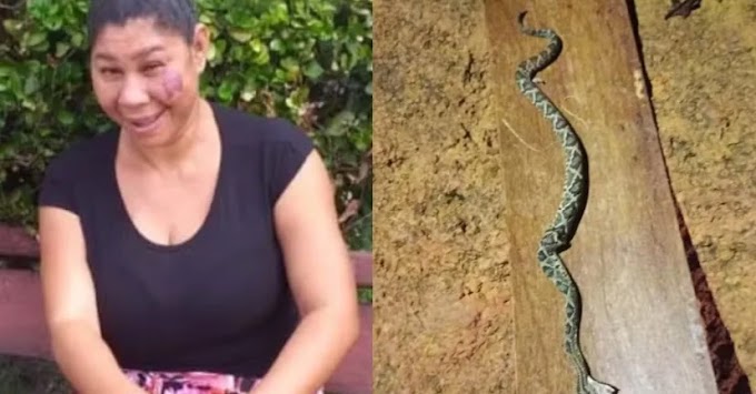  Mulher é picada ao confundir cascavel com corda e morre