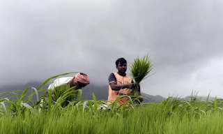 India Retains Eighth Position in Global Agricultural Exports India Retains Eighth Position in Global Agricultural Exports
