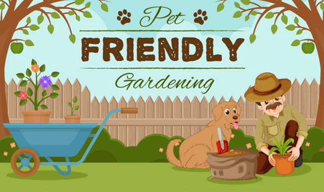 Ensuring The Safety of Your Pet in the Garden