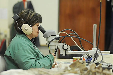 Laboratorio de Paleontología