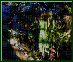 clip_image006