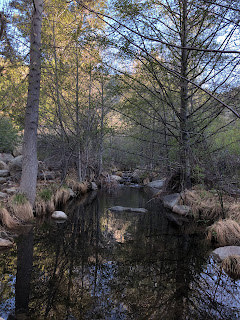 Piedra Blanca Creek