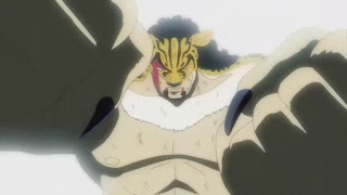 rob lucci vs luffy anime one piece