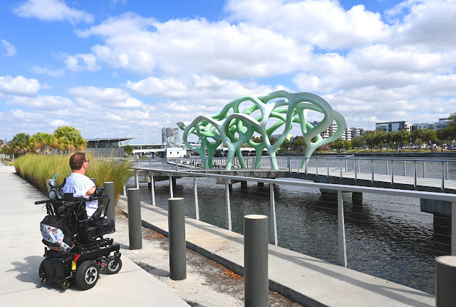 Kyle is looking toward an art installation, title 'Form of Wander,' that is situated on a walking path that extends over the Hillsborough River. It looks like a series of interwoven or tangled tree roots, and is light green in color.