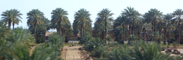 P1210684