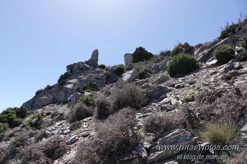 Puerto Corona-Oreganeros-Torrecilla-Atalayas