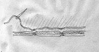 drawing of how to place knots