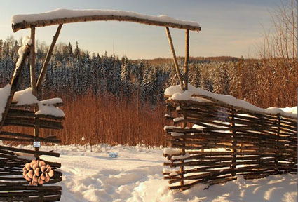 Winter Forest Escape