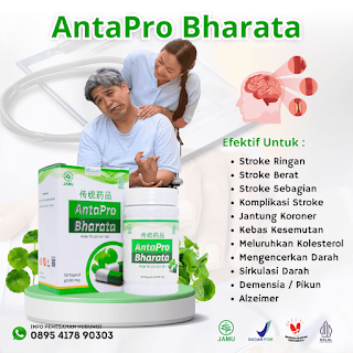 manfaat obat herbal stroke antapro bharata