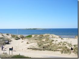 DSCF0353