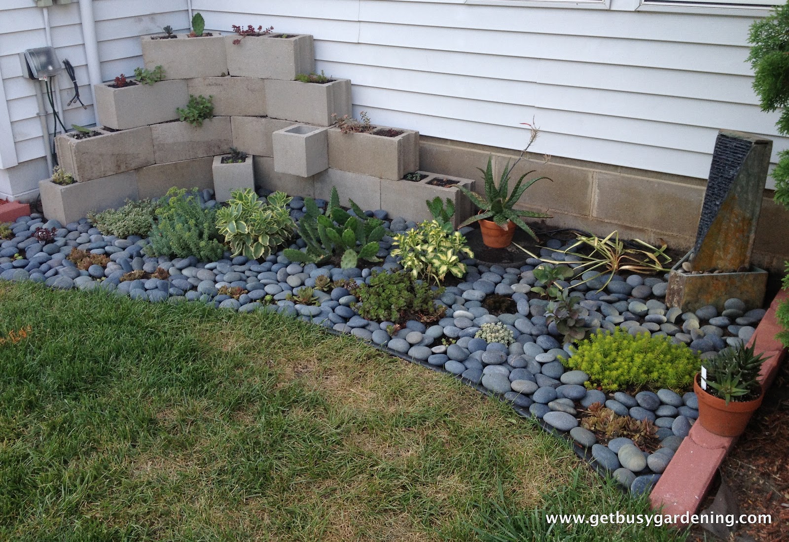 Succulent Zen Garden