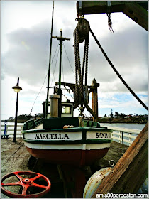 Santa Cruz Wharf: Marcella