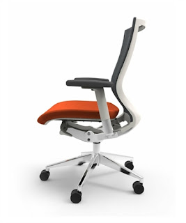 Oroblanco Ergonomic Chair