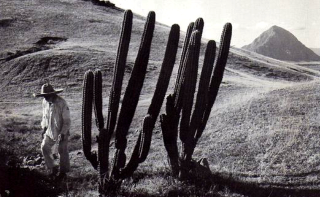 Libro el llano en llamas de Juan Rulfo