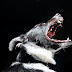 Heartbreaking Loss: Rabies Claims a Life in Ghaziabad