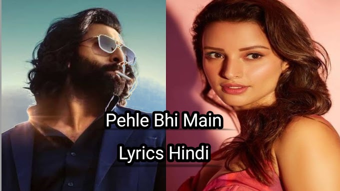 Pehle Bhi Main Lyrics Hindi - Animal Song 