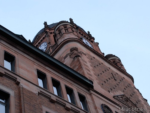 _DSC0198cp