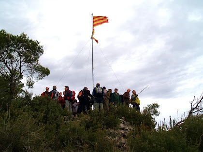 El Turó de les Bruixes amb la senyera