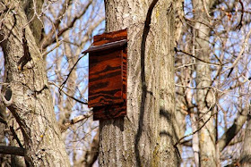 newly installed bat house (side view)