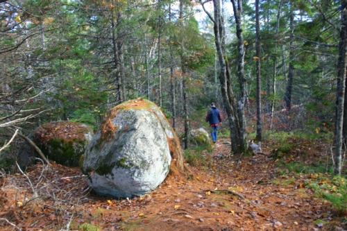 Crowbar Trail, N.S.