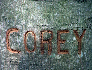 PHOTO OF COREY'S NAME CARVED INTO A TREE