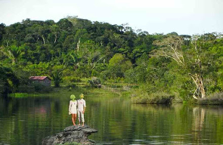 AGRO: Brasil é a maior potência ambiental do mundo e apanha por isso, diz especialista