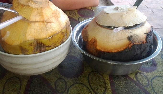 KHASIAT KELAPA BAKAR