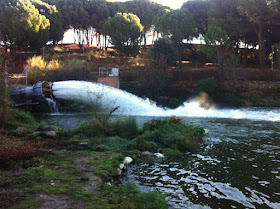 Ruta en bici a la Presa de El Pardo por la margen derecha del Manzanares, mayo 2012